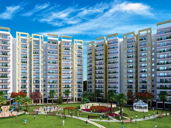 GLS Avenue 81
