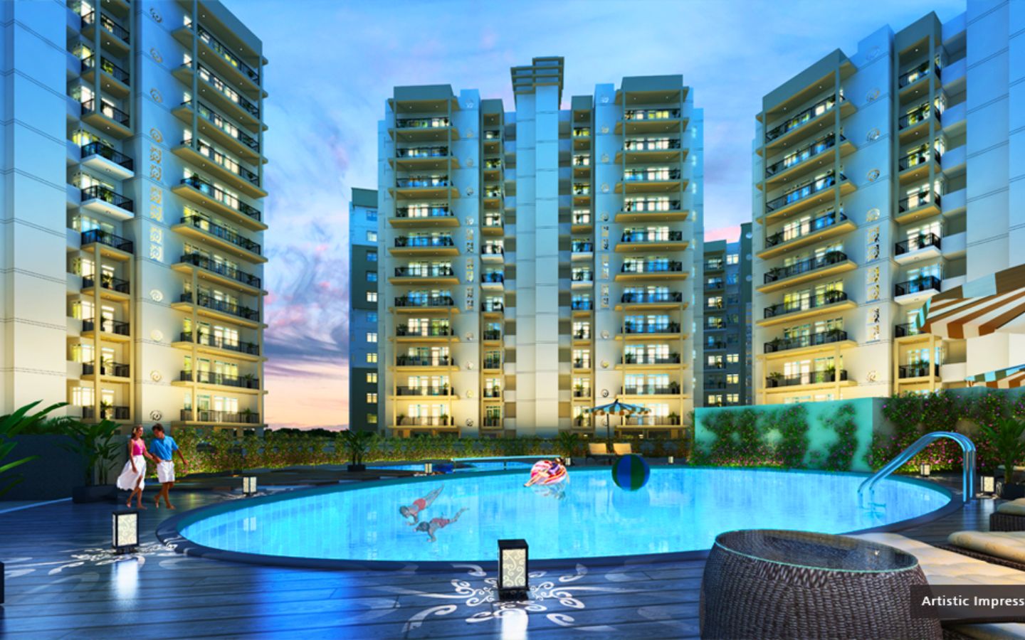 Orris Aster Court Premier