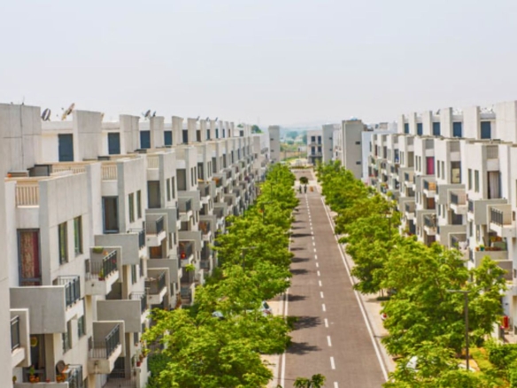 Vatika Iris Floors